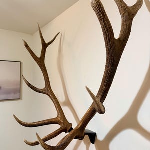 John added a photo of their purchase