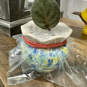 Melissa added a photo of their purchase