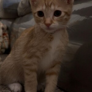 Mariah a ajouté une photo de son achat