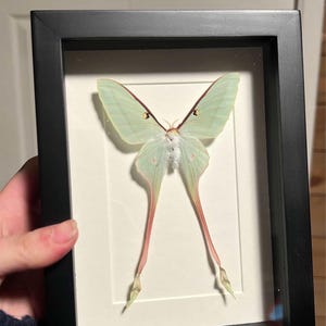 Ms. added a photo of their purchase