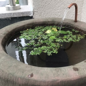 Barbara added a photo of their purchase