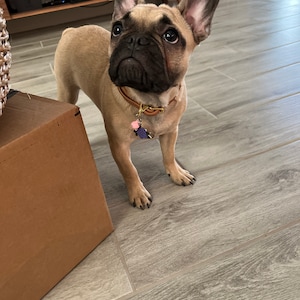 Juanita added a photo of their purchase