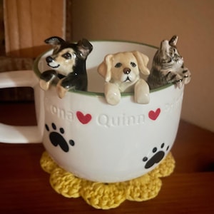 Kelly added a photo of their purchase