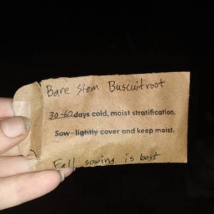 Ang added a photo of their purchase