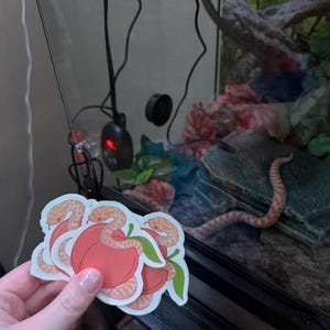 Colleen added a photo of their purchase