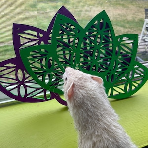 Jenn added a photo of their purchase