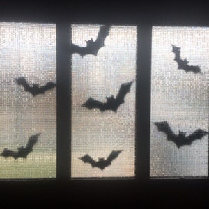 Helena Bosch added a photo of their purchase