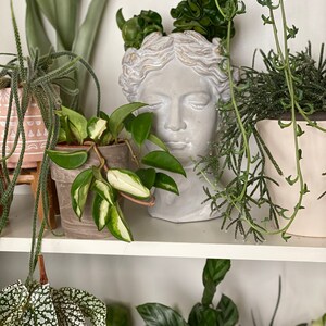 Ty added a photo of their purchase