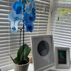 Temi added a photo of their purchase