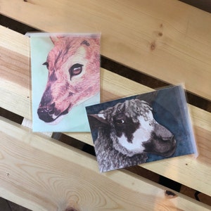 jess added a photo of their purchase