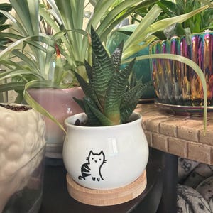 Shay added a photo of their purchase