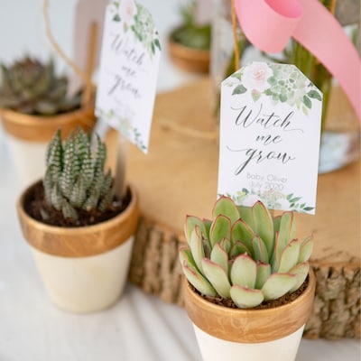 Baby Shower Favor Tags Succulent, INSTANT DOWNLOAD, Watch Me Grow Favor ...