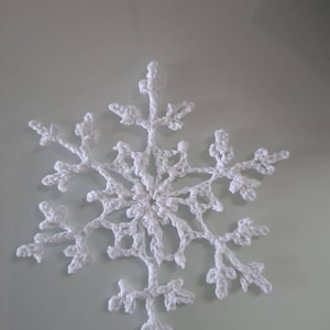 Silke added a photo of their purchase