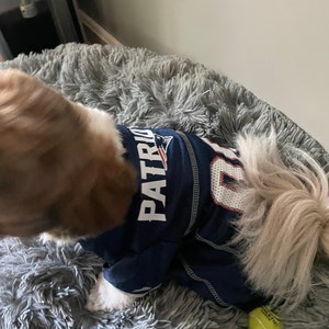 puppy patriots jersey