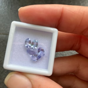 Sandrine added a photo of their purchase