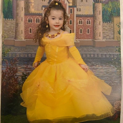Princess Belle Dress for Birthday Costume or Photo Shoot Belle Dress ...