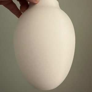 Robin ha aggiunto una foto del proprio acquisto