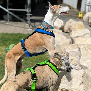 Mucky added a photo of their purchase