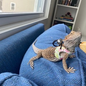 Kristie added a photo of their purchase