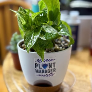Karen added a photo of their purchase