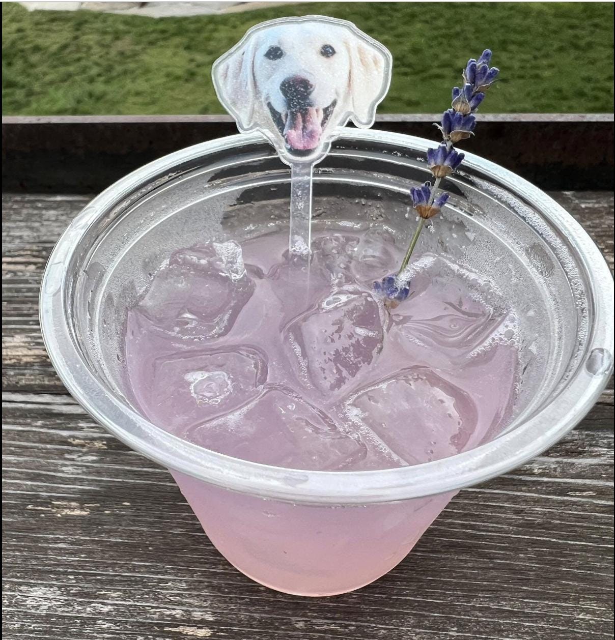 Print YOUR Dog Pet Stir Sticks, 2-sided Signature Drink, I Do Too & Dog Of Honor, Watercolor Acrylic Cocktail Stirrers, Wedding Swizzle