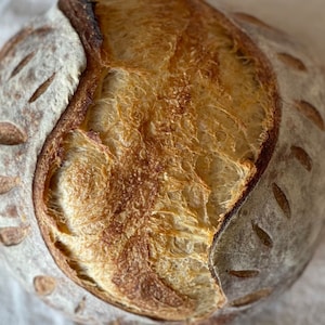 Gluten Free Sourdough Starter Maintained With GF King Arthur Four - Etsy
