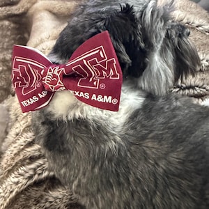 Rachel added a photo of their purchase