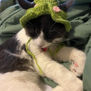 Eliza さんが購入した商品の写真を追加しました