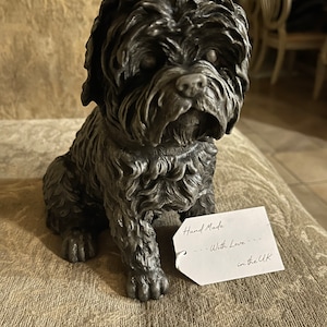 Jenifer added a photo of their purchase