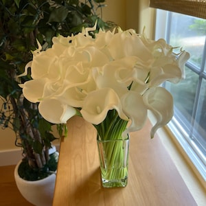Claire added a photo of their purchase