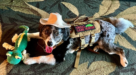 Customer photo of a pet with the Safari Hat  for Dog Cat Puppy Mini pig made by