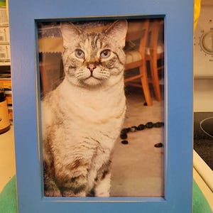 R.E. added a photo of their purchase