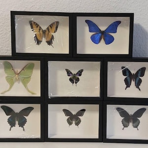 saritaduki36 added a photo of their purchase