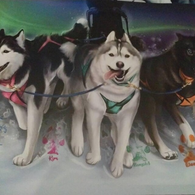 Poster Chiot Husky Sibérien – Tableau