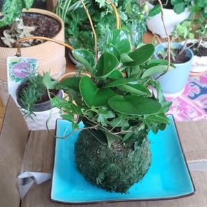 Ellen ha añadido una foto de su compra