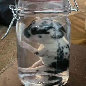 Meraida heeft een foto van de aankoop toegevoegd
