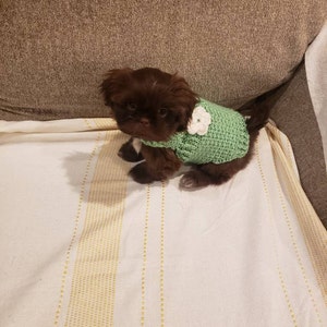 Jodi added a photo of their purchase