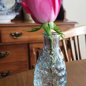 Anita added a photo of their purchase