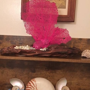 Matthew added a photo of their purchase