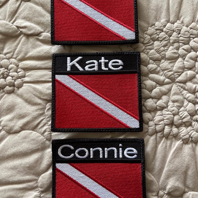 TOPPA BREVETTO PER COMANDANTE DI UNITA CORAZZATA CARABINIERE - Negozio - Foto 9