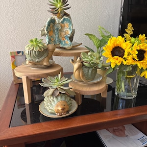 Julie added a photo of their purchase