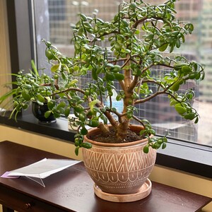 Cesta de almacenamiento de color blanco azul medio con capucha | Etsy