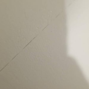 Michael added a photo of their purchase