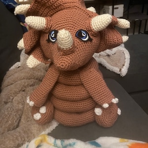 Kim added a photo of their purchase