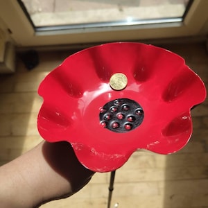 Frauke added a photo of their purchase