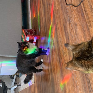 Emily added a photo of their purchase