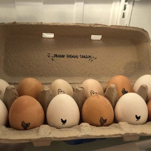 Khloee added a photo of their purchase