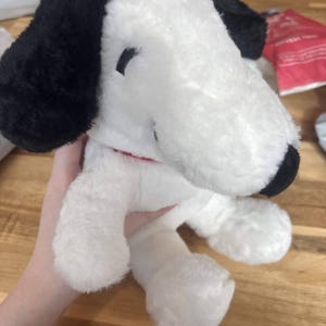 Maddy added a photo of their purchase