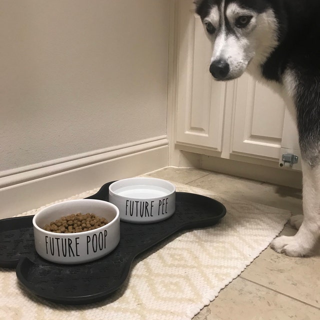 Funny Dog Food Bowl Set Ceramic Pet Bowls Future Pee Future Poop