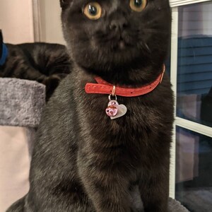 Oksana added a photo of their purchase